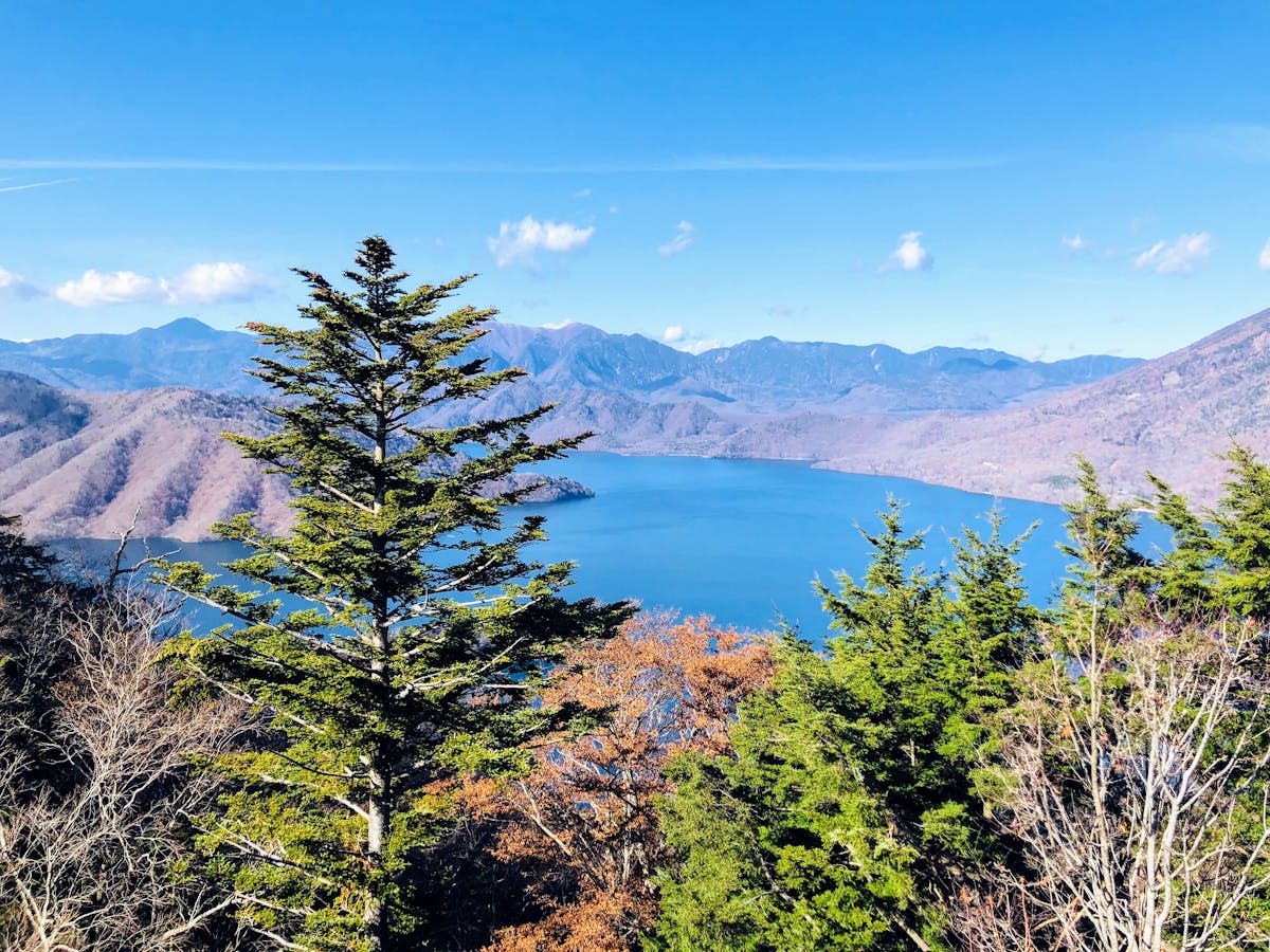 Nutrition pour Kung Fu & Wushu