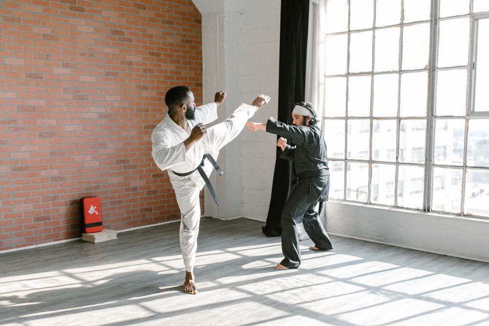 Two martial artists sparring in a sunlit dojo