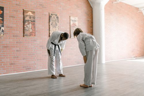 Free Two martial artists bowing in a traditional dojo setting. Stock Photo