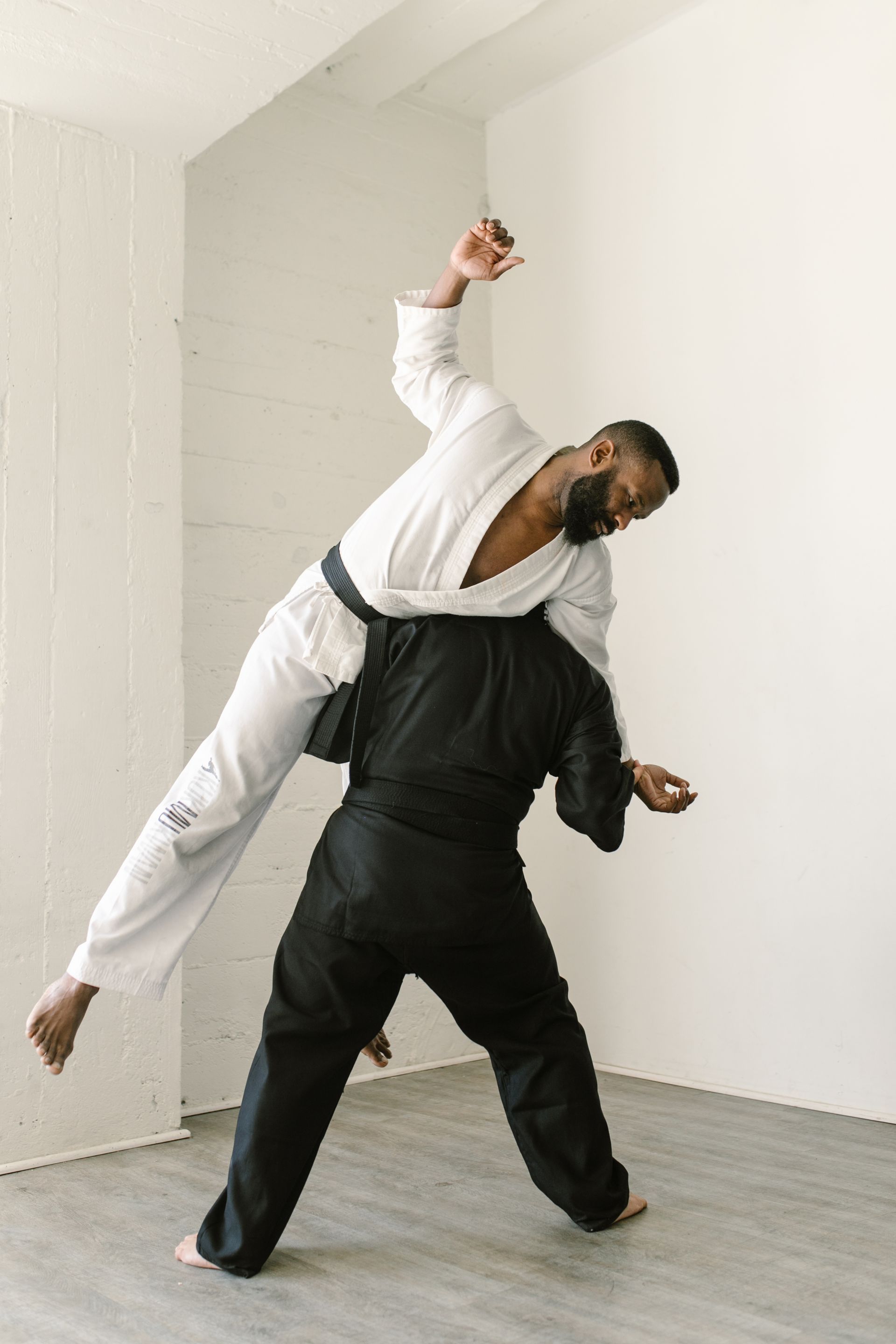 Entrenamiento de artes marciales