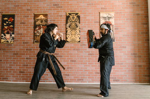 Free stock photo of adult, aggression, aikido