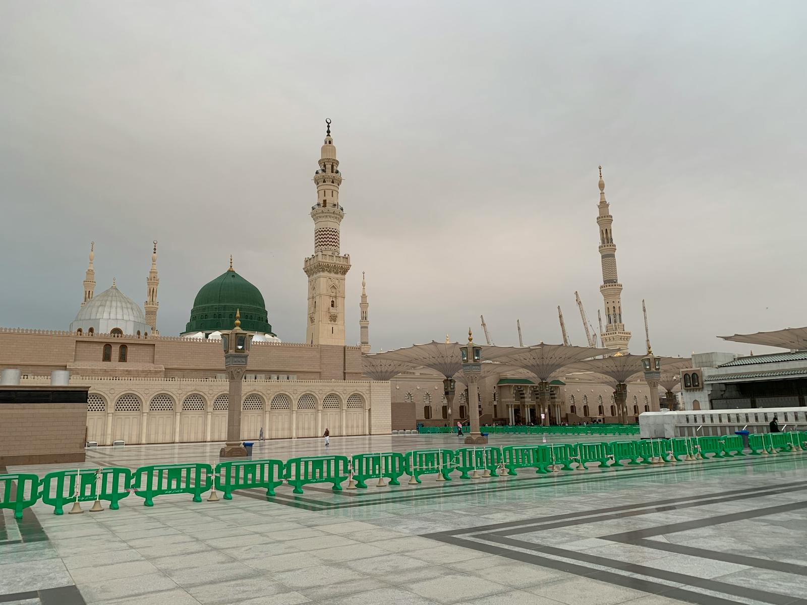 Balanced plate with fish, vegetables, and whole grains representing healthy protein choices