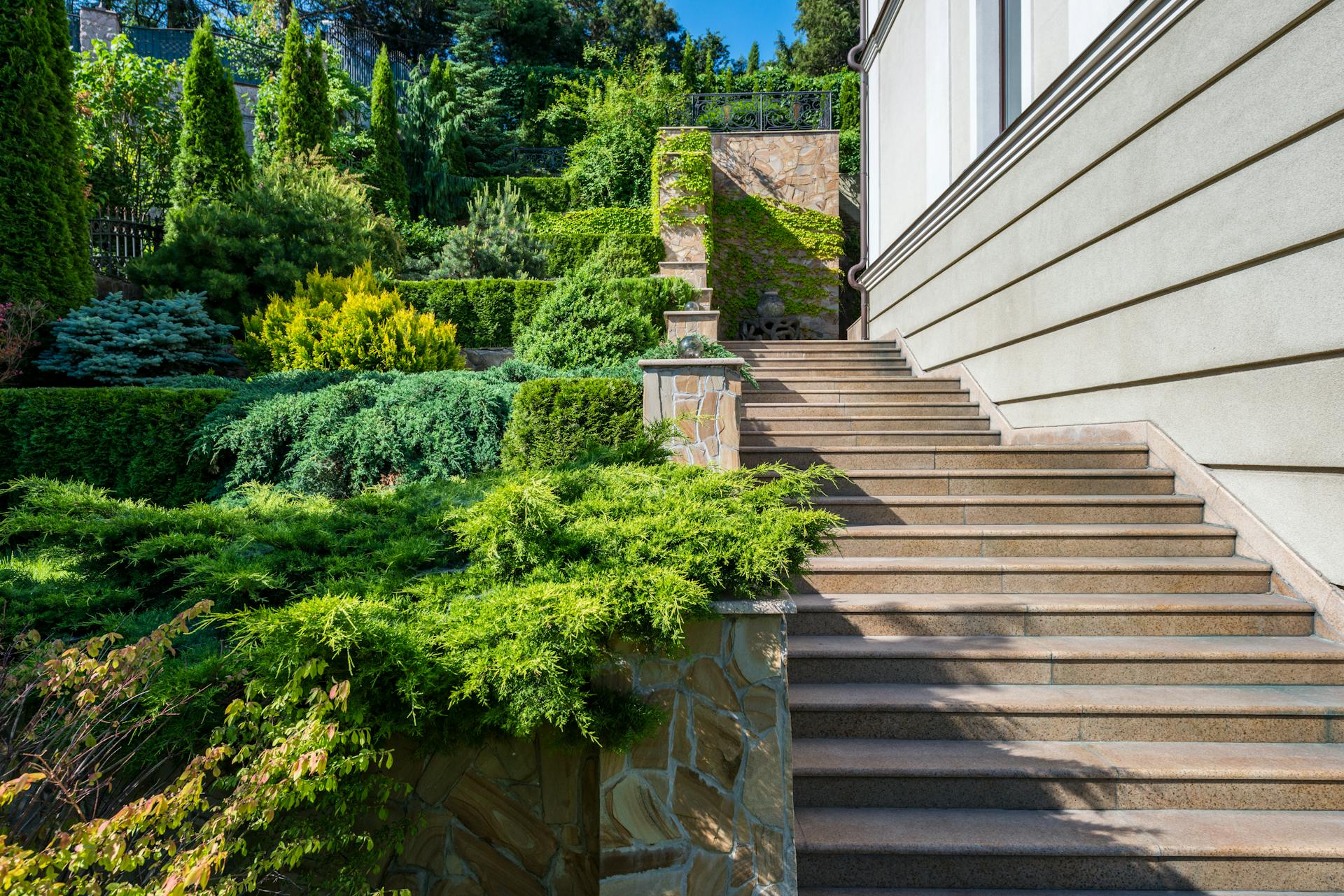 Large modern house with yard surrounded with bushes and trees with fresh verdant foliage