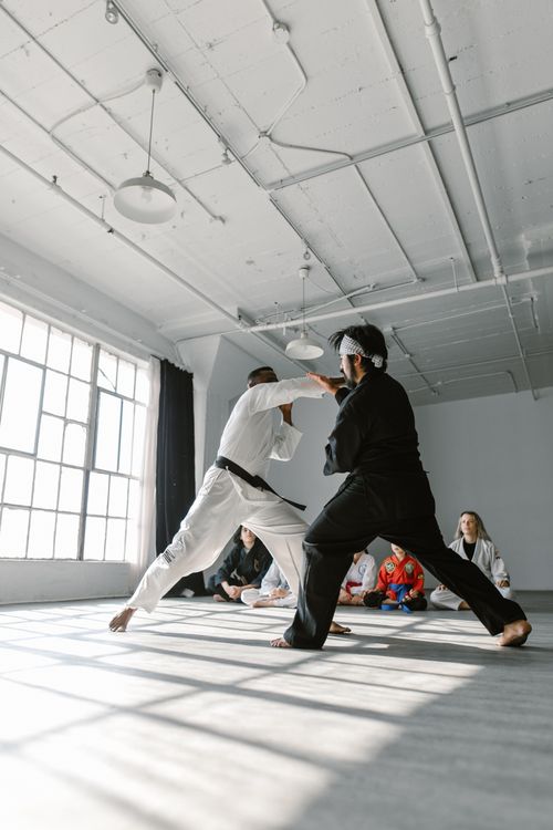 Free Martial artists practicing sparring in a sunlit gym. White and black uniforms add contrast. Stock Photo