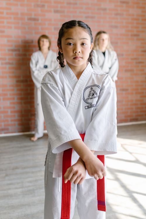 Free A young girl in a white taekwondo uniform and red belt stands confidently in a dojo. Stock Photo