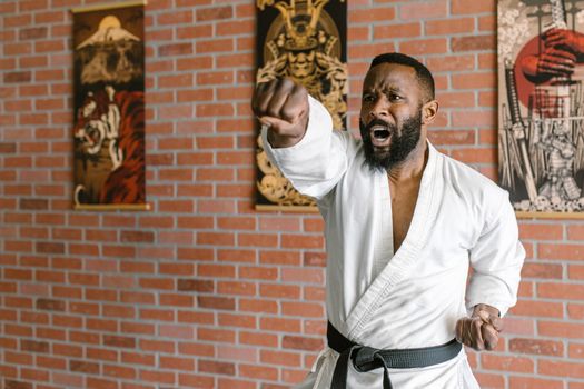 A Man Doing a Karate Punch