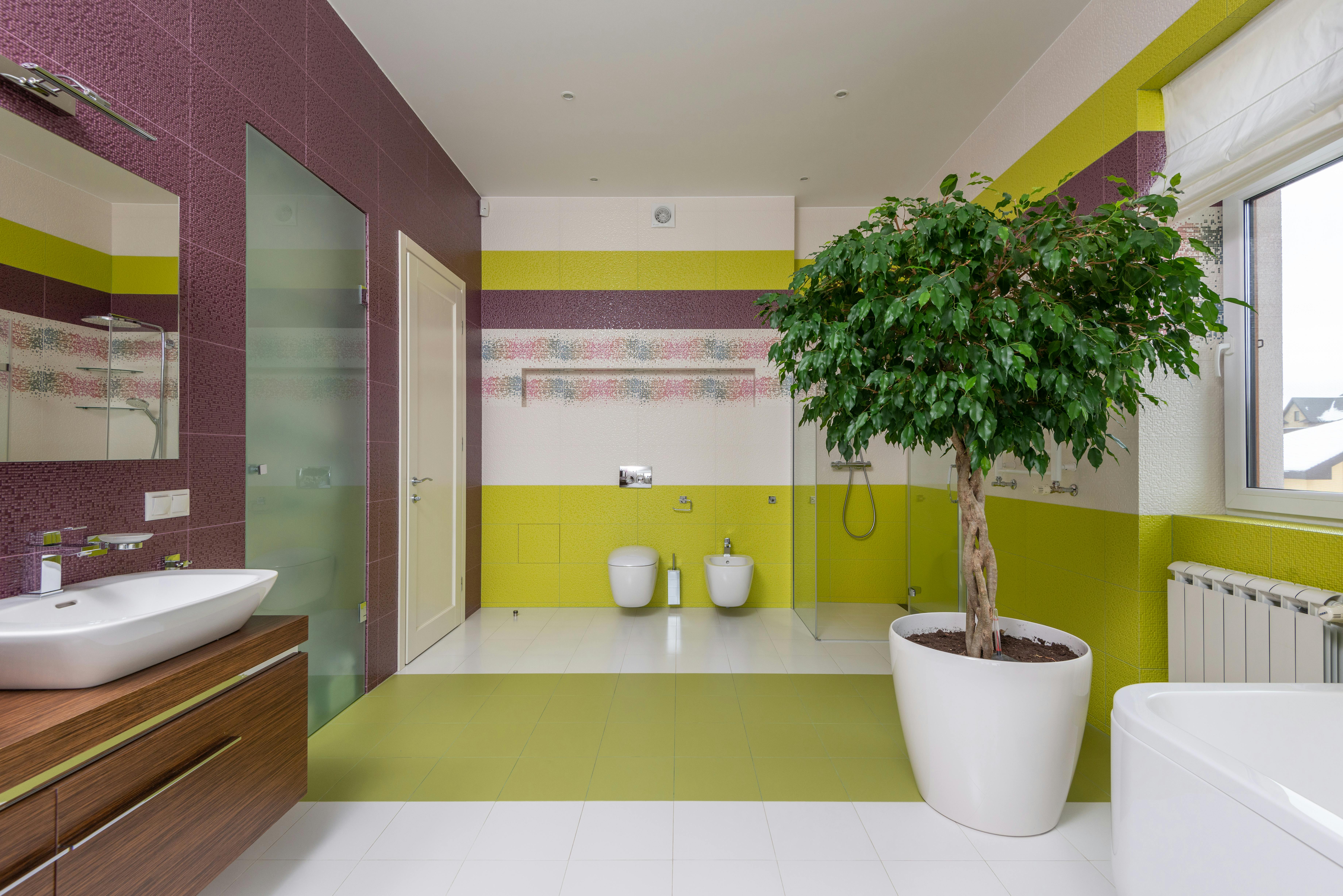 Interior of modern bathroom with colourful walls · Free Stock Photo