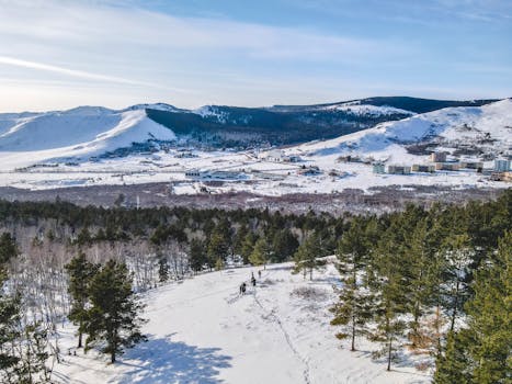 Breathtaking aerial view of a snow-covered landscape in Mongolia with mountains and trees.