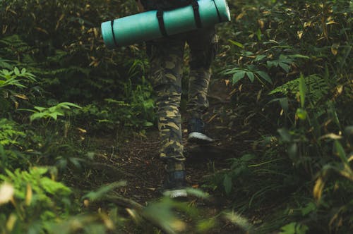 Legs of Person Hiking on Footpath in Forest