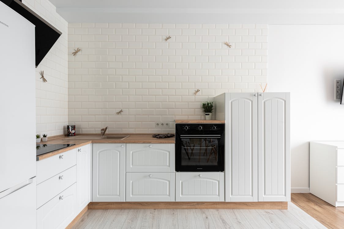 Contemporary kitchen interior with cabinets and decorative dragonflies in house