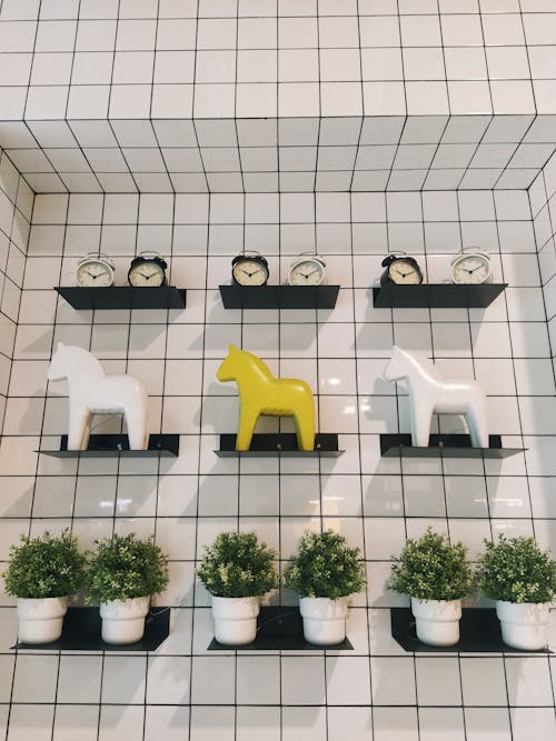 Tile Wall with Plants, Horse Toys and Alarm Clocks on Shelves 