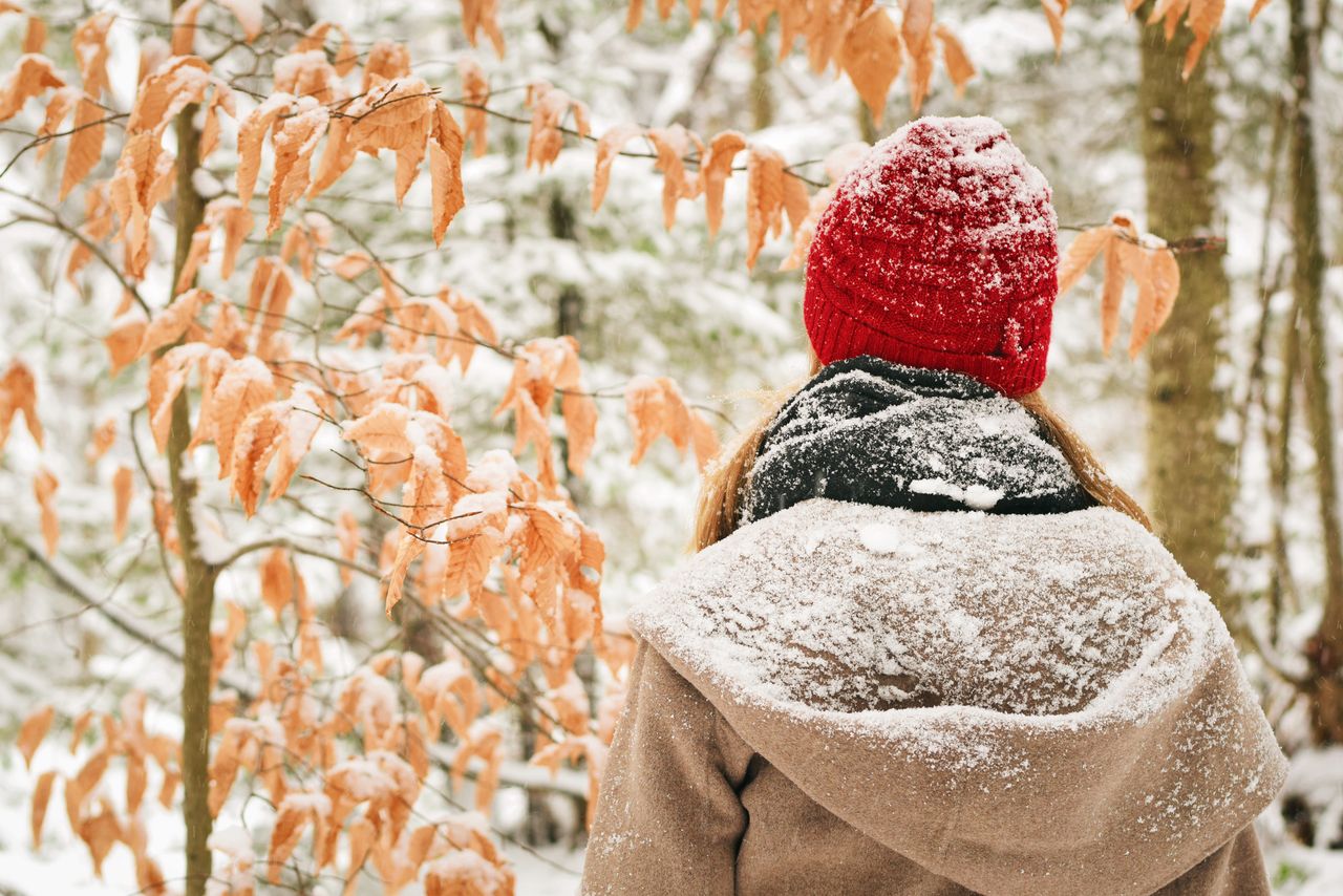 Woman in a red knit beanie walking through a snowy forest