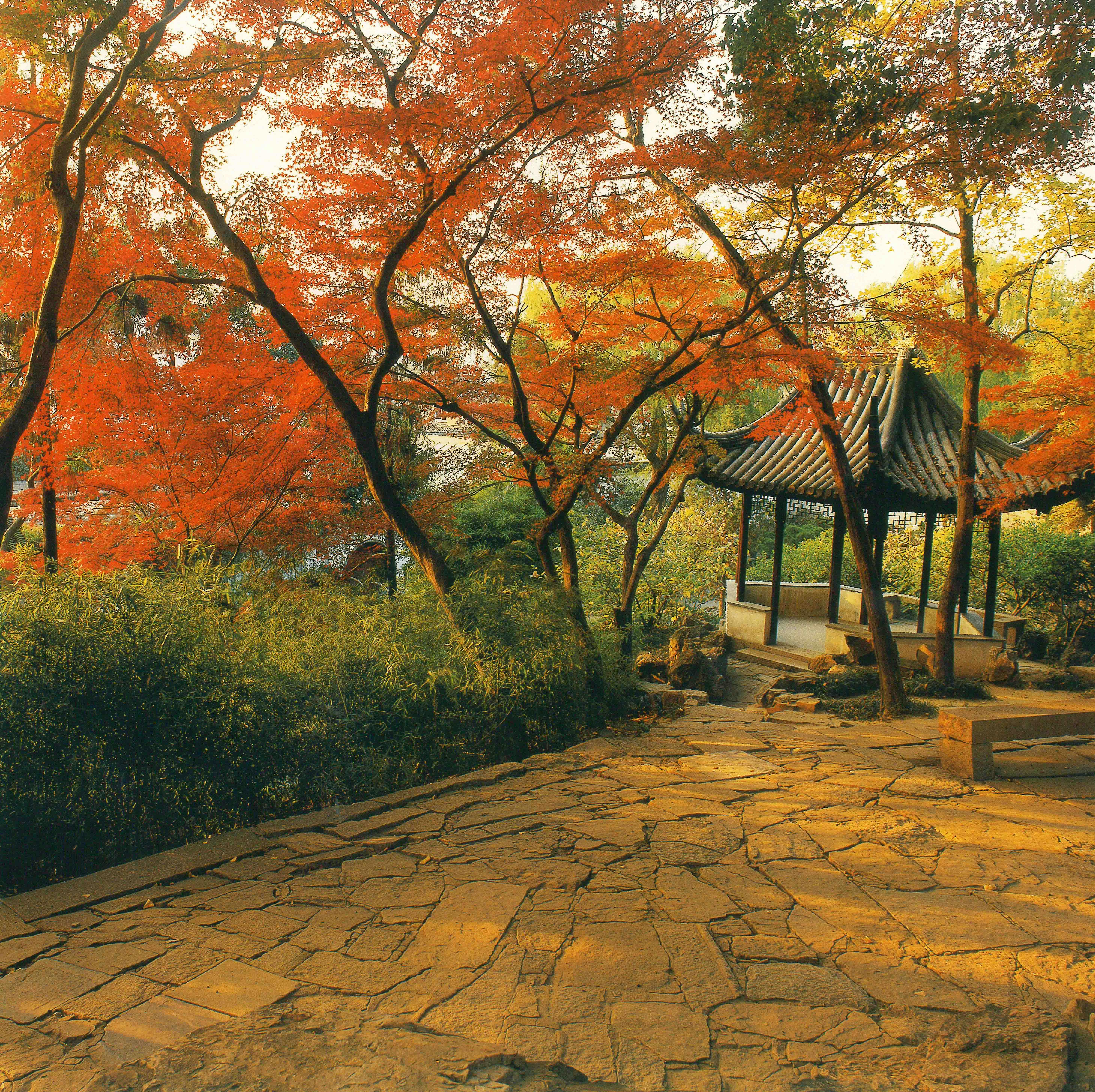 2. Discover the Serene Beauty of Japanese Gardens: A Sanctuary for the Soul