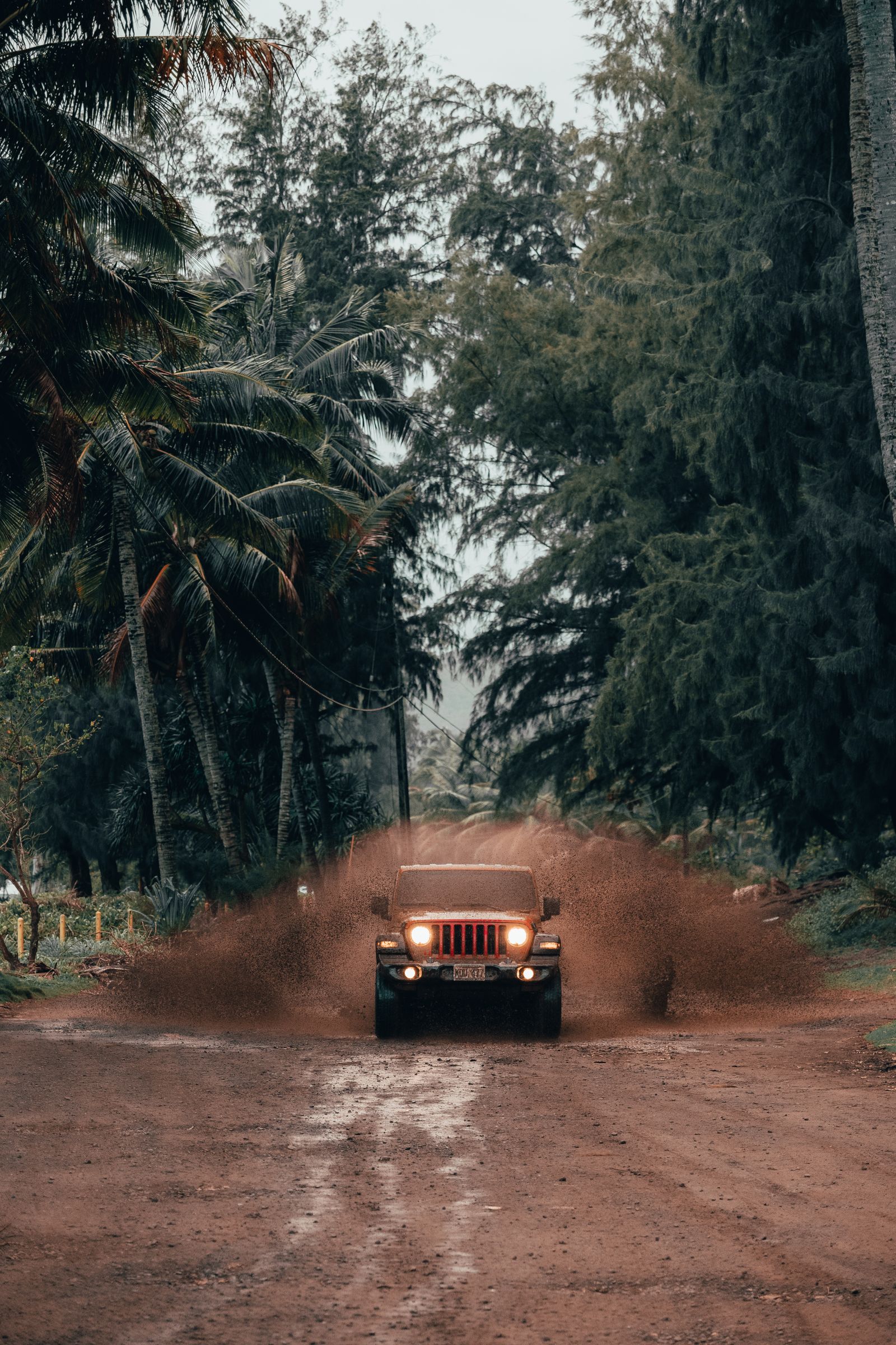 Berline avec chauffeur — Île Maurice — photo 4