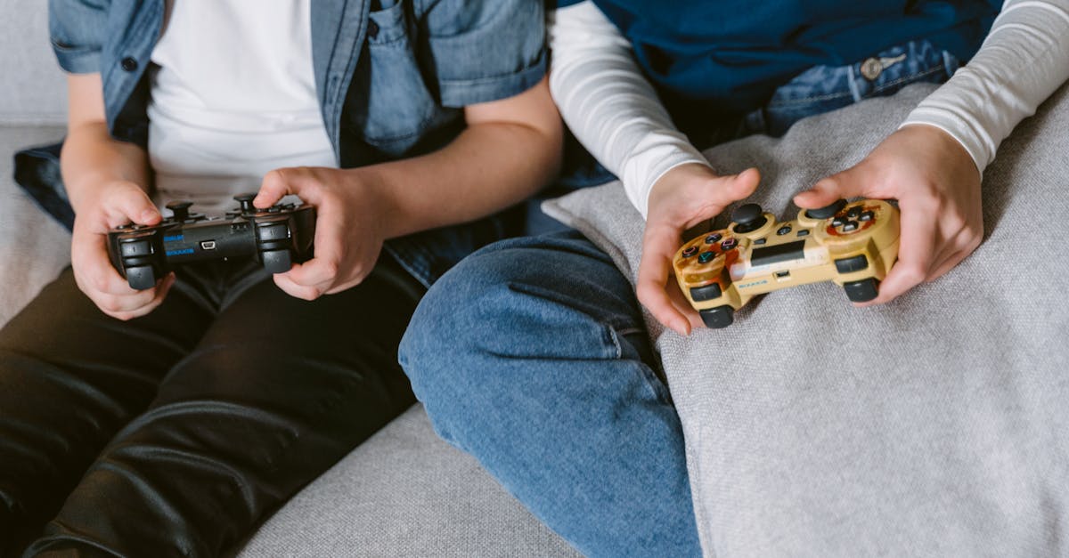 How to play 2 player castle crashes on pc