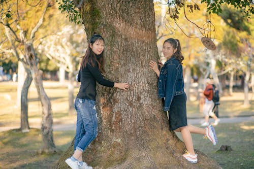 Foto stok gratis bergaya, istri, kebun