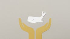 Paper Cutouts on a Gray Surface