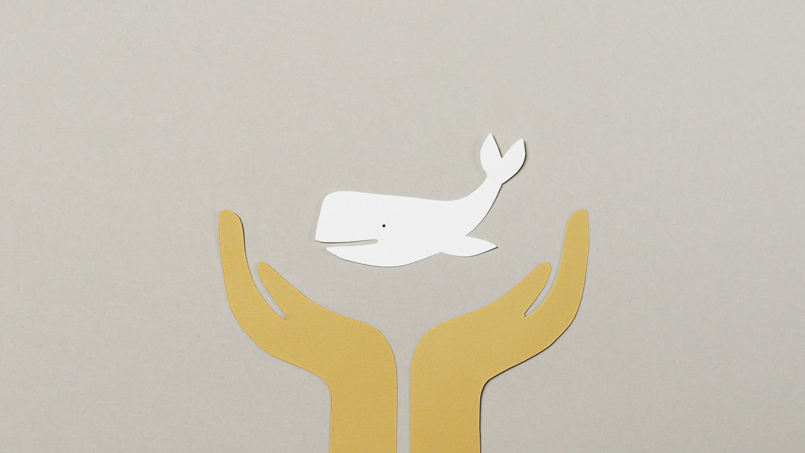 Sewer system rehabilitation