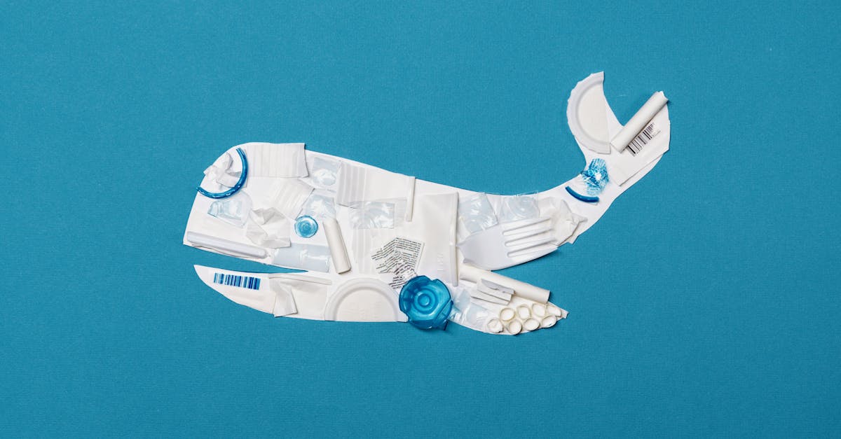 How to make a whale cartoon