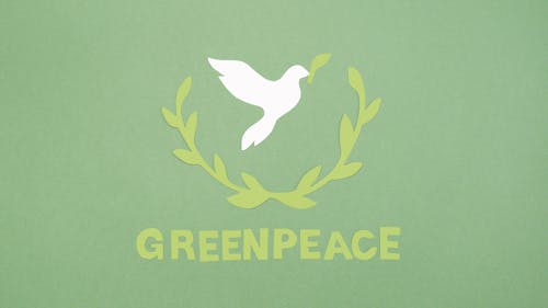 Ilmainen kuvapankkikuva tunnisteilla greenpeace, käsitteellinen, kyyhky