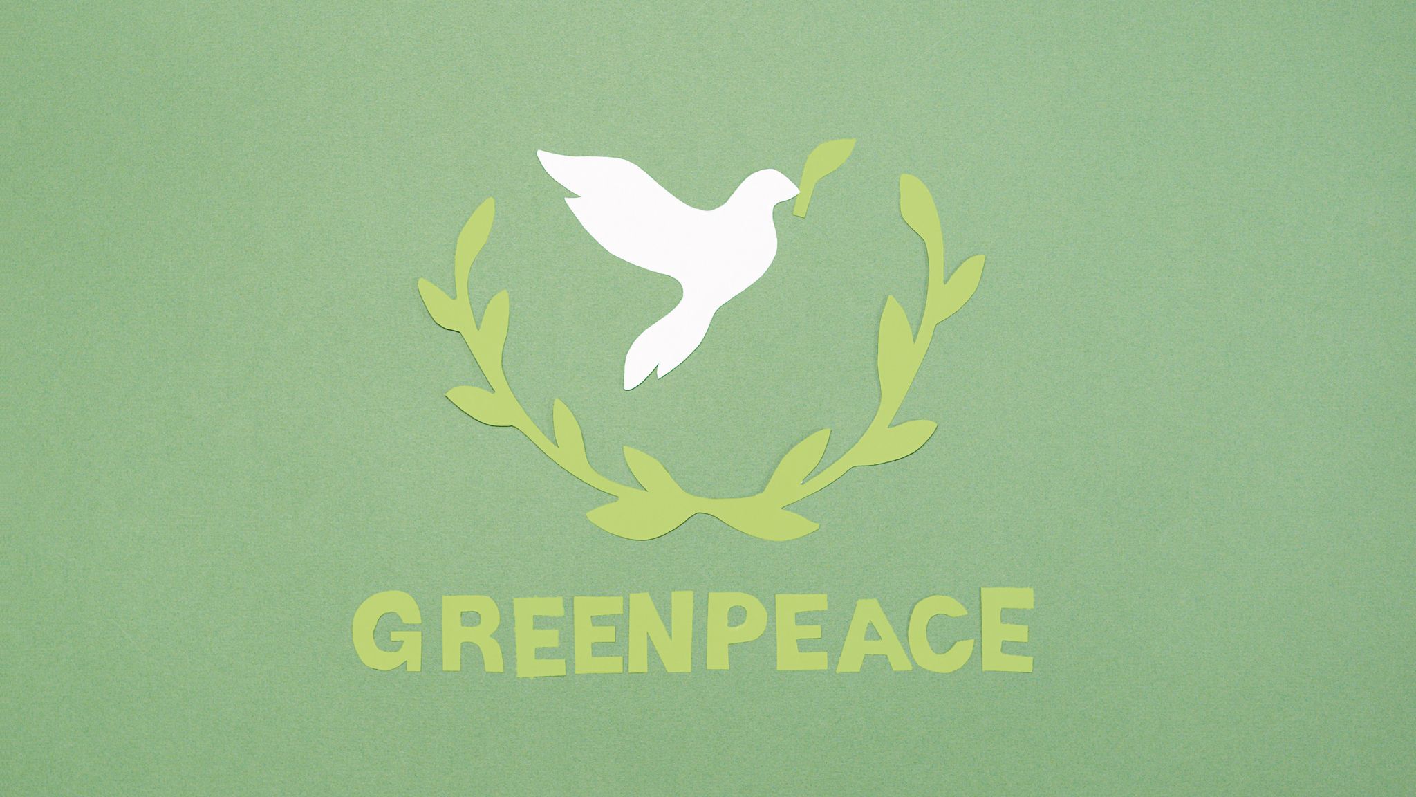 Nieuwsupdate: Greenpeace stikstofzaak, Oatly havermelk