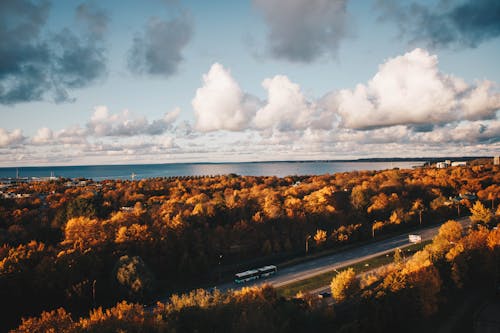 Photo Aérienne De Voiture Sur La Route Entourée D'arbres Bruns Sous Les Nuages Alto Cumulus Et Ciel Bleu Clair