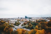 从高角度俯瞰充满活力的城市天际线，前景点缀着秋叶