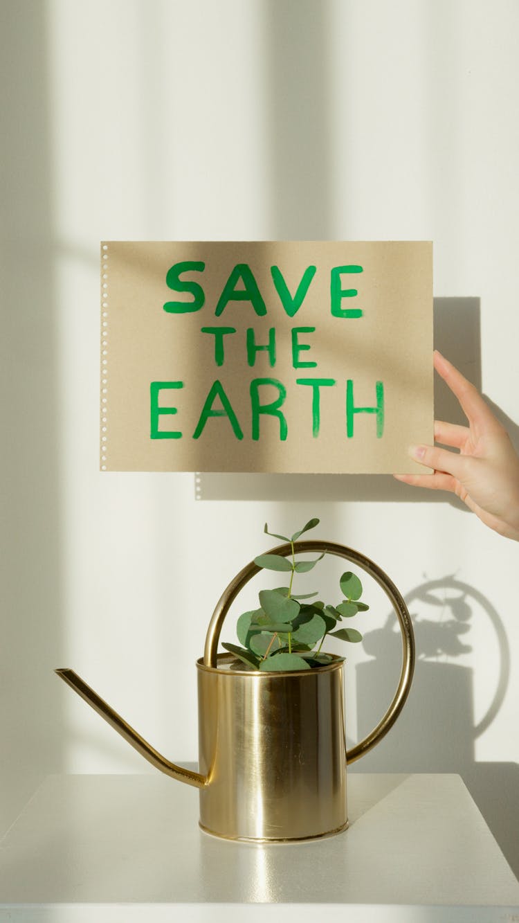 A Person Holding A Save The Earth Sign