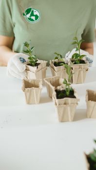 Person in gloves planting seedlings in biodegradable pots on a white table.