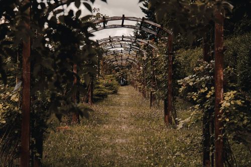 Free Serene garden pathway lined with lush greenery and wooden arches, perfect for tranquil walks. Stock Photo