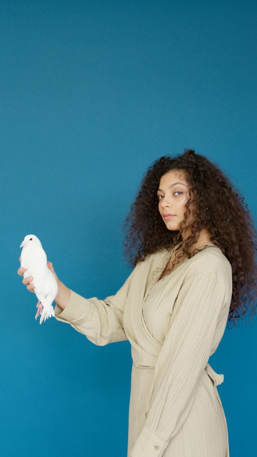 Free Young woman in beige outfit holding a white dove with a blue backdrop. Stock Photo