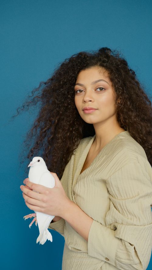 Free Young woman holding a white dove with a calm expression against a vibrant blue background. Stock Photo