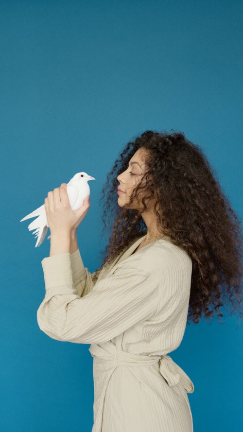 Free Woman in a beige robe holds a white dove against a solid blue backdrop. Symbolic and serene. Stock Photo