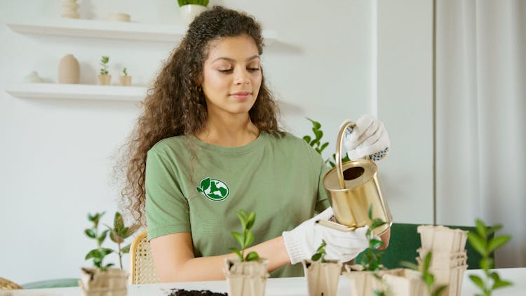 Woman Watering The Plants On The Table