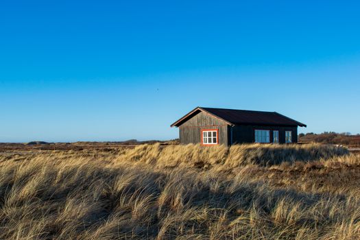 A solitary wooden cabin stands amidst a serene rural field under a clear blue sky.