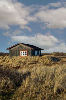 Wooden cabin surrounded by lush grass under a cloudy sky, symbolizing rural tranquility.