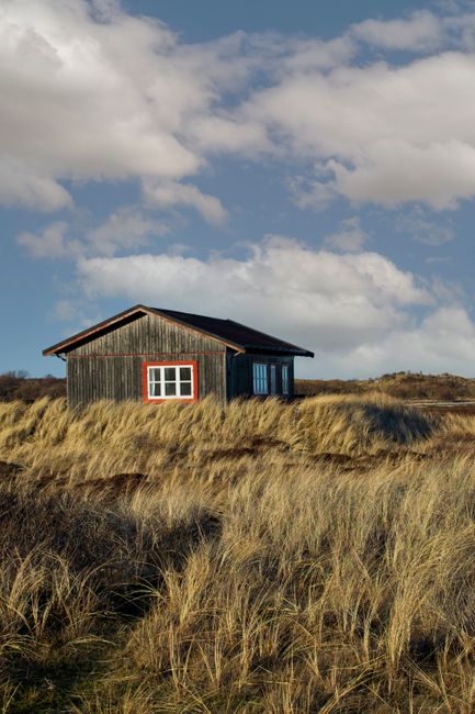 Wooden cabin surrounded by lush grass under a cloudy sky, symbolizing rural tranquility.