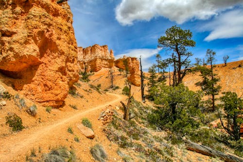 Free Foot Trail in Bryce Canyon National Park Stock Photo