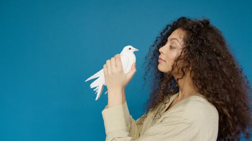 Free Portrait of a woman with curly hair holding a white dove in a studio with a blue background. Stock Photo