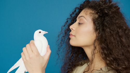 Free A woman with curly hair holds a white dove against a blue background, conveying peace. Stock Photo