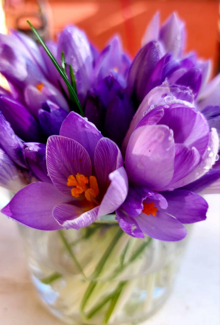 Close-Up Shot Of Saffrons On A Glass Vase