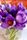 saffron