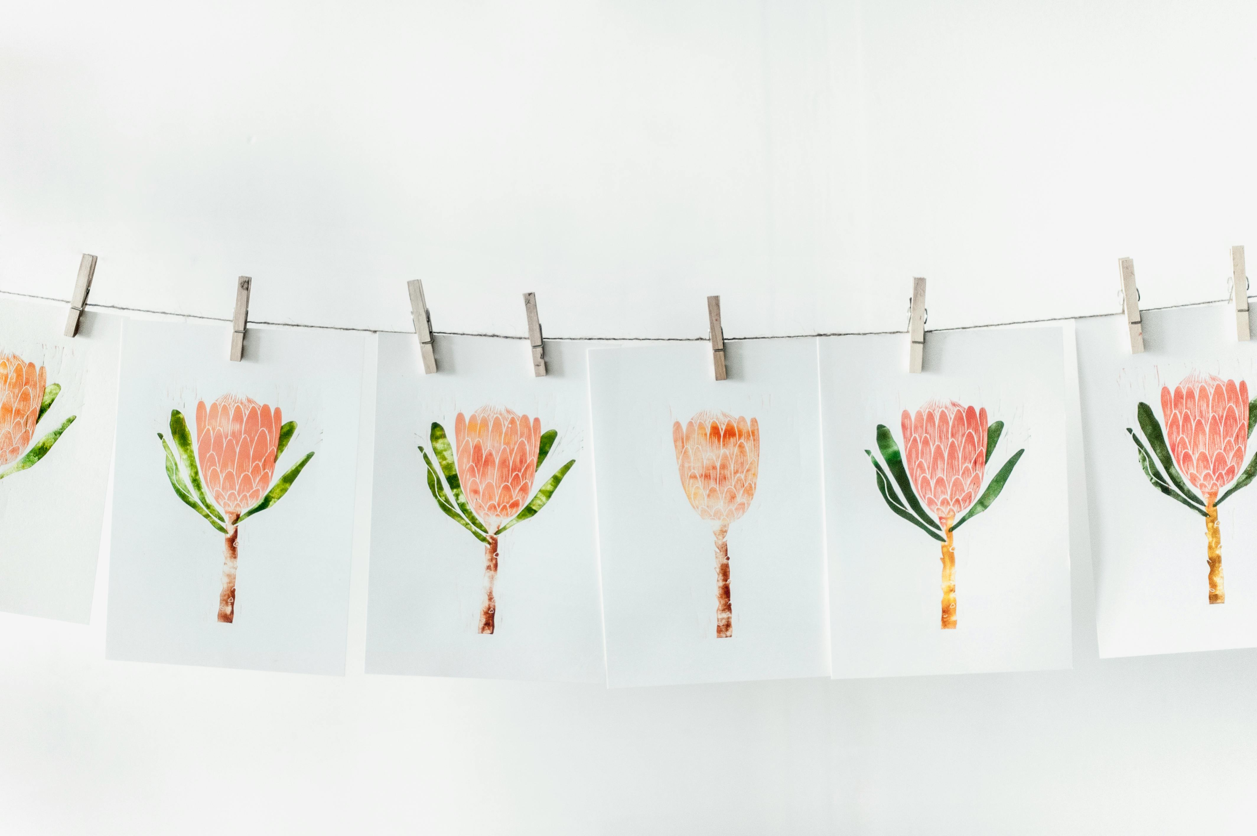 Foto stok gratis tentang bunga  bunga  Daun  daun  dedaunan