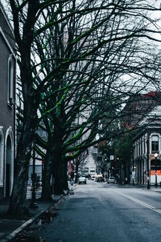 Empty asphalt road on empty city street with leafless trees on roadsides on cloudy day in wintertime