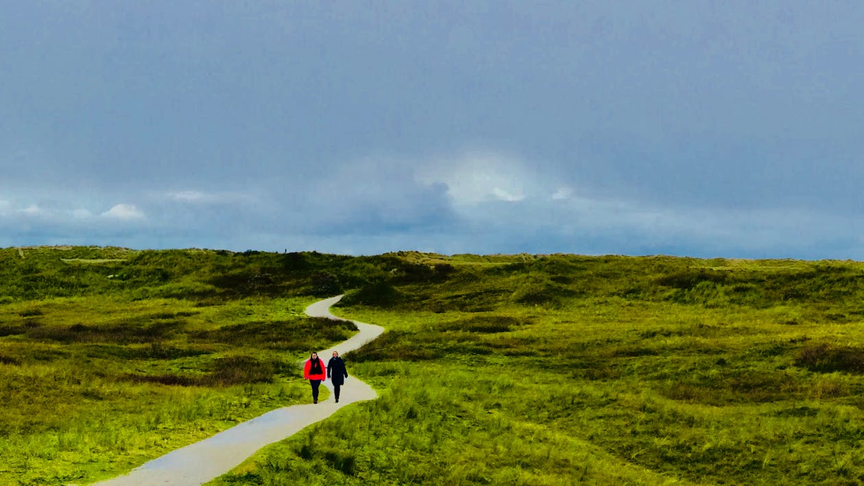 Two Person Walking On Path Under Blue Sky