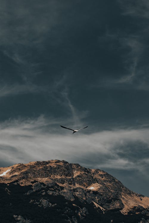 Free A Bird Flying Over Mountain Under Cloudy Sky Stock Photo
