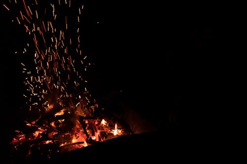Imagine de stoc gratuită din foc, foc de tabără, noapte