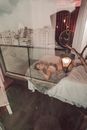 Free stock photo of adult, batom, bed