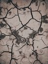 Brown and Black Concrete Floor