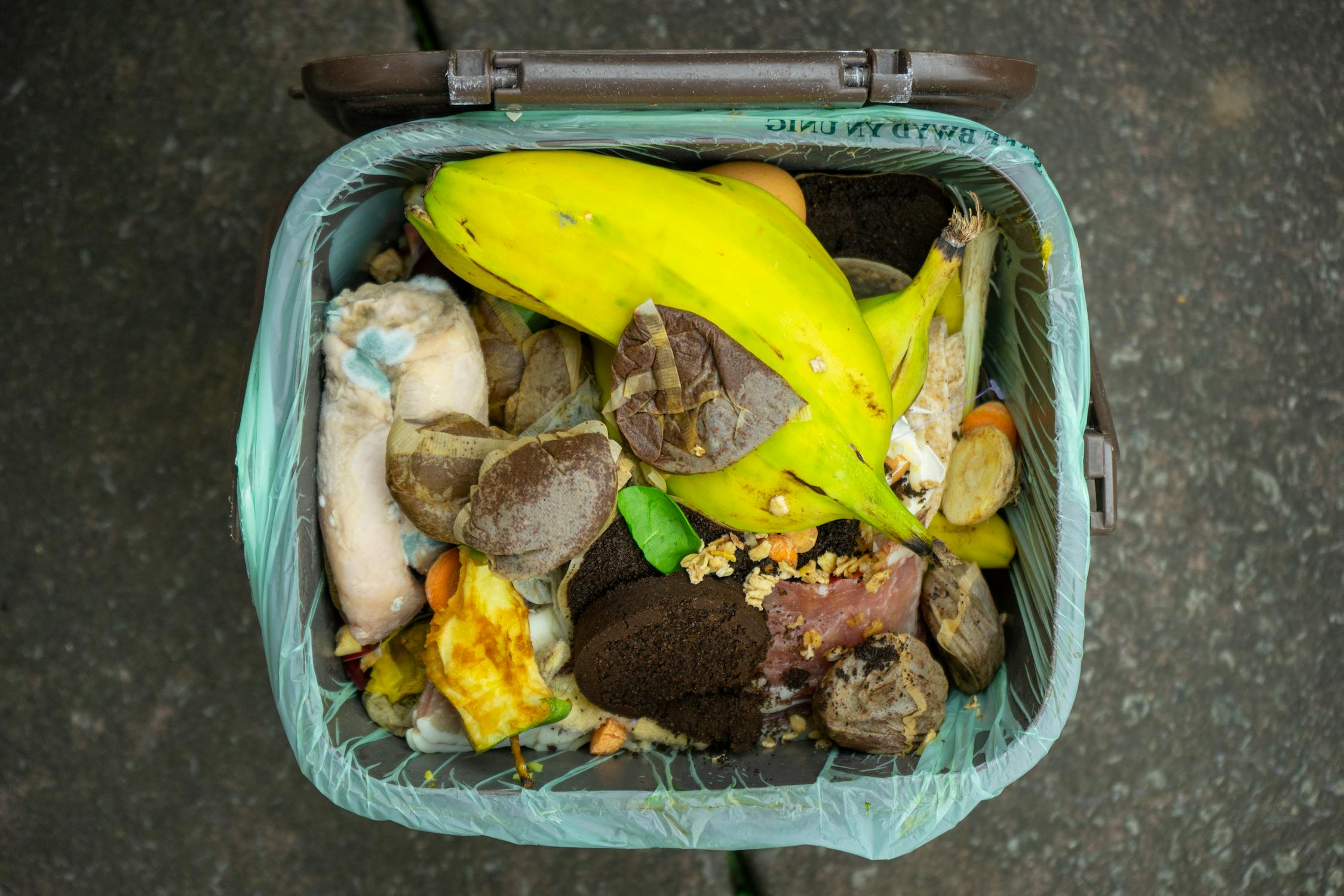 Bokashi Compost Bin